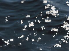 -碧海金沙