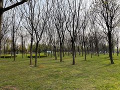 -洨河生态公园