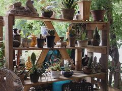 -国生茶庄·地道农家菜团建活动