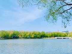 -长春市南湖公园