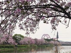 -海珠湖公园
