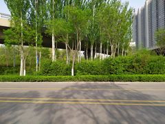 -森林公园(尖草坪区)