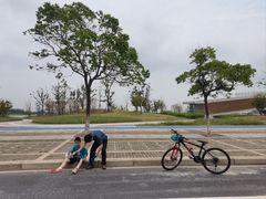 -春花秋色城市公园