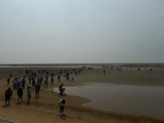 -刘家湾赶海园
