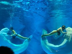 -上海海昌海洋公园-冰山北极馆