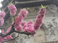 -玲珑塔公园