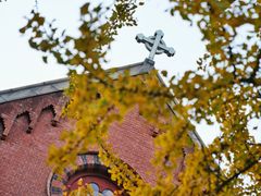 -LESCEDARS Brasserie Bistro香柏树