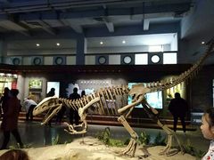 -自贡恐龙博物馆