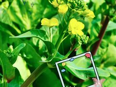 -白鹭湾湿地公园