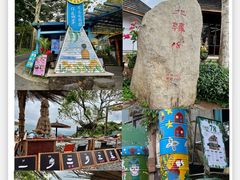 -亚龙湾热带天堂森林公园