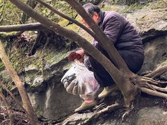 -石台牯牛降景区