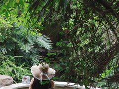 -清远熹乐谷温泉度假酒店