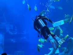 -太平洋海底世界