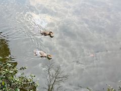 -阿育王寺