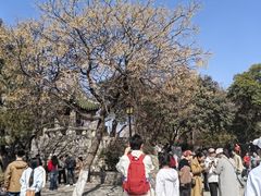 -云龙山