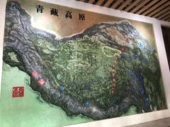 -青藏高原自然博物馆