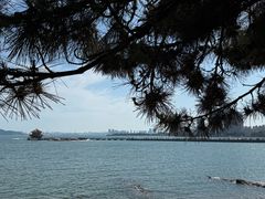 -青岛海滨风景区
