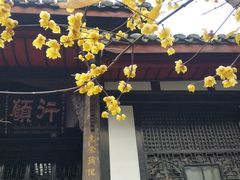 -宝光寺