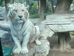 -北京野生动物园