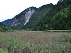 -九寨沟-树正沟