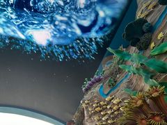 -珠海长隆海洋王国