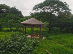 -东莞香市动物园
