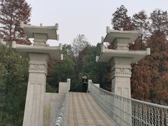 -东湖落雁景区