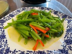 南瓜藤-呼吸森林·生态农庄农家乐私房菜