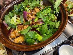 香菜-胡须佬鸡煲四季火锅(海雅缤纷城店)