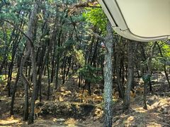 -刘公岛景区
