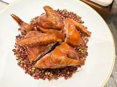 -朱记乳鸽王·非遗石岐乳鸽·全鸽宴(大兴旗舰店)