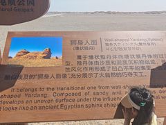-敦煌雅丹国家地质公园