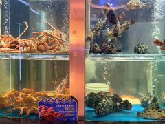 -1718海鲜姿造(苏宁宴请臻选店)