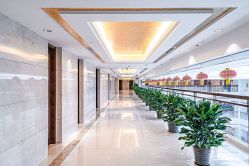 -天泰一站式婚宴·宴会厅