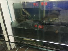 -鱼酷活鱼烤鱼(昆明路店)