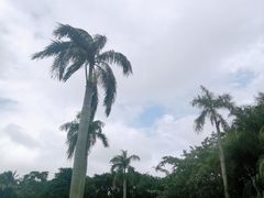 -万绿园