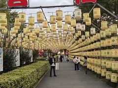 -歌斐颂巧克力小镇