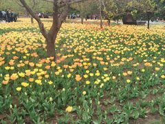 -长春公园(普阳街道)