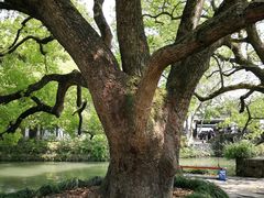 -西溪国家湿地公园