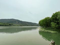 -长广溪湿地公园