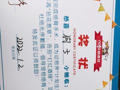 -纳吉亚猫专科动物诊疗中心(蒋宅口分院)