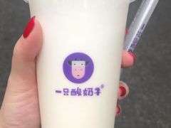 酸奶牛奎-一只酸奶牛(奎星楼店)