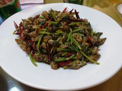 -小海丁