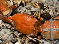 -一方渔歌蒸汽海鲜自助(文化路万达广场店)