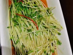 白灼豆苗-火宫殿·湘菜小吃·商务宴请·生日聚会(东塘店)