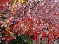 -祥源·阜阳生态乐园