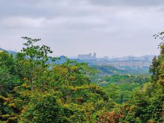 -阳台山森林公园