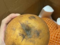 -新鸿港水果市场(三亚新鸿港国际商品交易中心店)