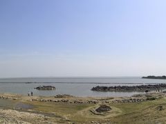 -合肥滨湖国家森林公园