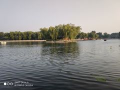 -后海公园